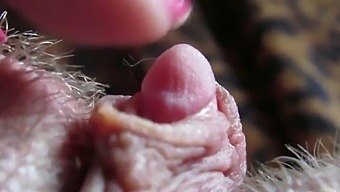 Close-Up Intenso Da Cabeça Do Meu Clitóris Pulsante Durante A Masturbação