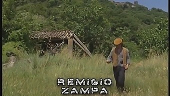商业性爱遭遇 - 电影探索