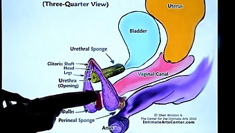 Sex Toy And Licking Techniques For Advanced Squirting